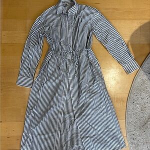Everlane striped dress shirt dress  small